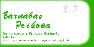 barnabas prikopa business card