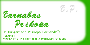 barnabas prikopa business card